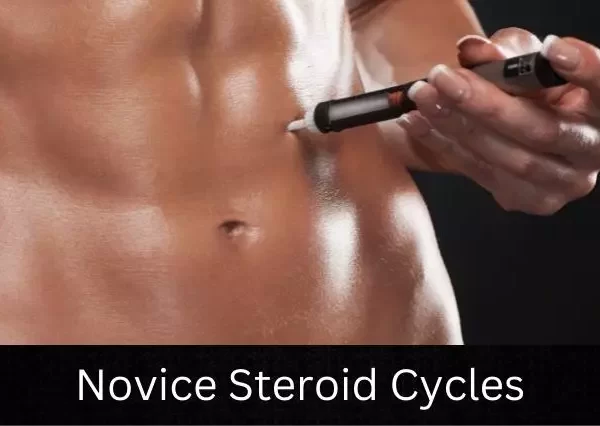 Novice Steroid Cycles