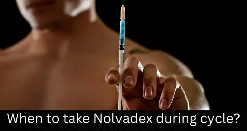 When_to_take_Nolvadex_during_cycle