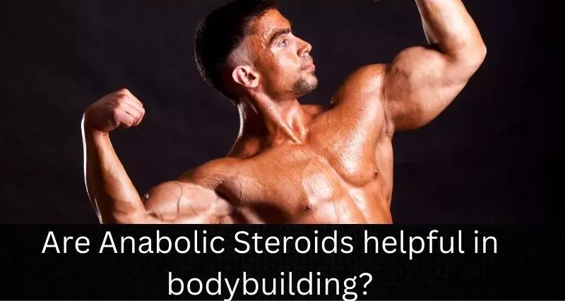 lic_Steroids_helpful_in_bodybuilding