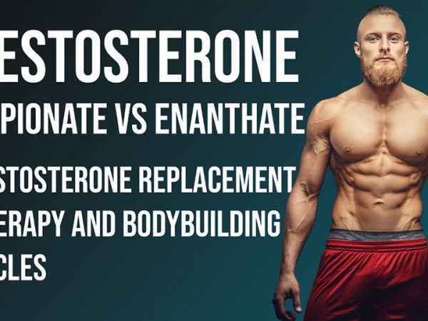 Testosterone Cypionate vs Enanthate: Testosterone Replacement Therapy and Bodybuilding Cycles, Dosage and Legal Status