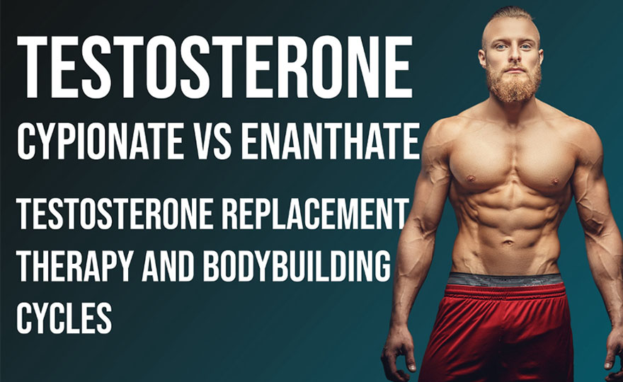 Testosterone Cypionate vs Enanthate: Testosterone Replacement Therapy and Bodybuilding Cycles, Dosage and Legal Status